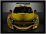 Spojler, Renault Megane Trophy